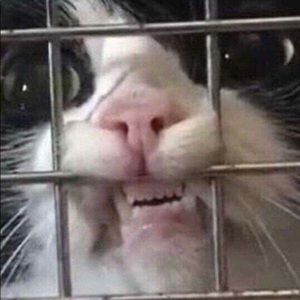 Meet your Posher, Kris